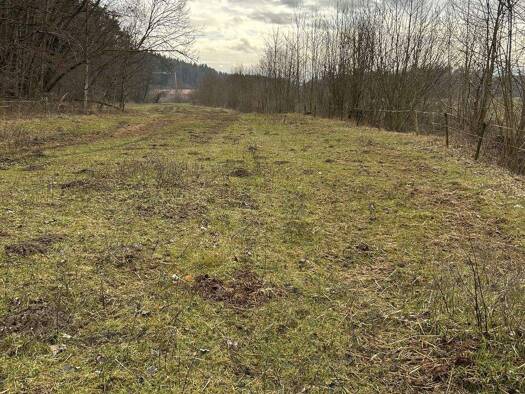 Land-/Forstwirtschaft zum Kauf 147.000 € 9.170 m² Grundstück Herbsdorf Nußdorf 83365