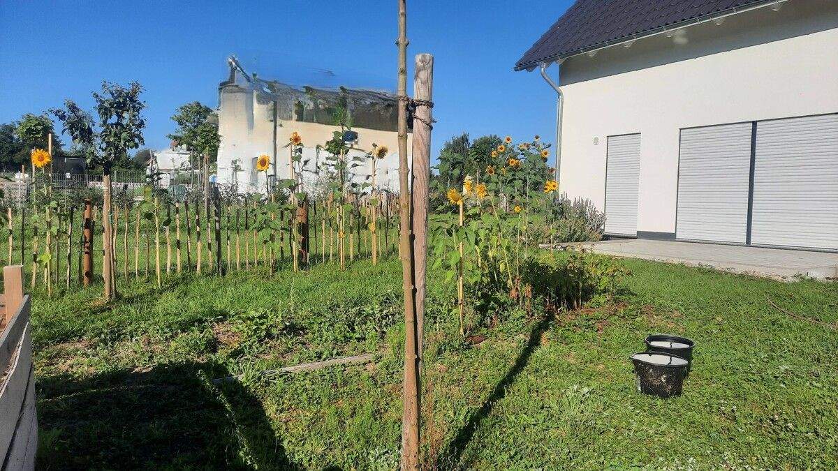 Einfamilienhaus zum Kauf - Ansicht 2