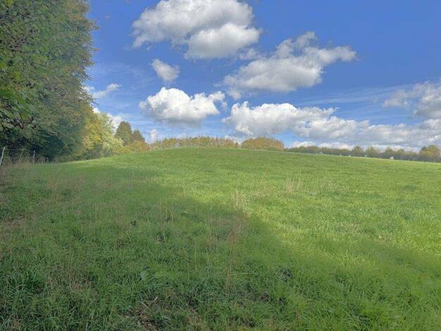 Land-/Forstwirtschaft zum Kauf 105.000 € 34.911 m² Grundstück Imgenbroich Monschau 52156