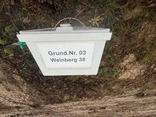 Einfamilienhaus zum Kauf - Erstbezug provisionsfrei 309.990 € 5 Zimmer 120 m² 785 m² Grundstück Stadt Friedland Friedland 15848