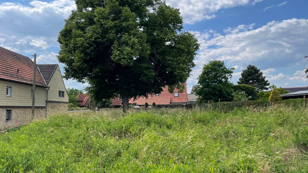 Grundstück zum Kauf 110.000 € 693 m² Grundstück Sössen Lützen 06686