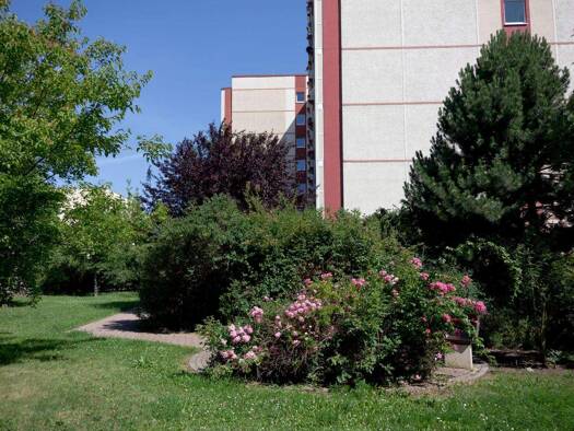 Wohnung zur Miete 197 € 1 Zimmer 25,6 m² 2. Geschoss Färberwaidweg 1 Wiesenhügel Erfurt 99097