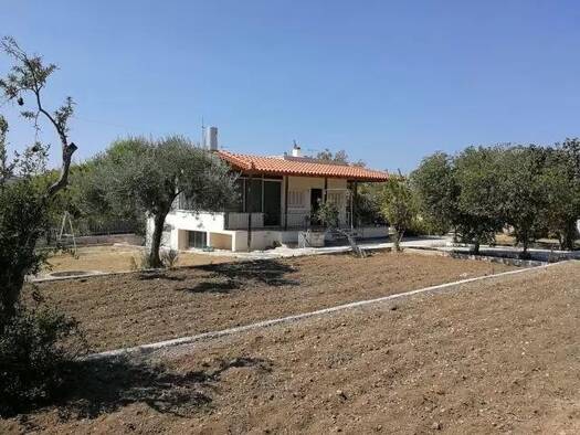 Land-/Forstwirtschaft zum Kauf 450.000 € Municipality of Saronikos 190 10
