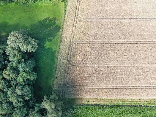Land-/Forstwirtschaft zum Kauf 475.000 € 130.782 m² Grundstück Scheeßel Scheeßel 27383