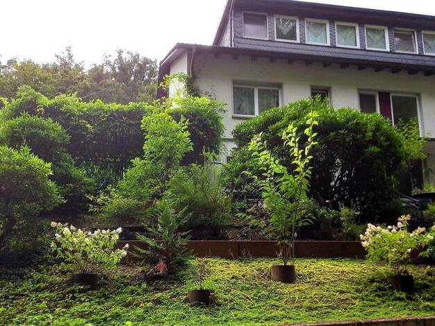 Einfamilienhaus zum Kauf provisionsfrei 385.000 € 7 Zimmer 218 m² 761 m² Grundstück Freudenberg 57258