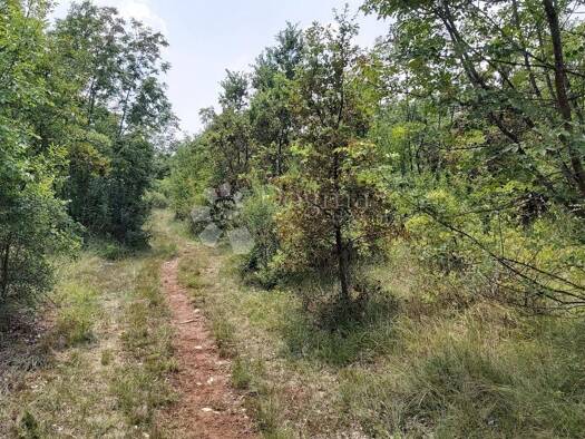 Acker-/Waldstück zum Kauf 70.000 € Manjadvorci, Barban Barban 52207