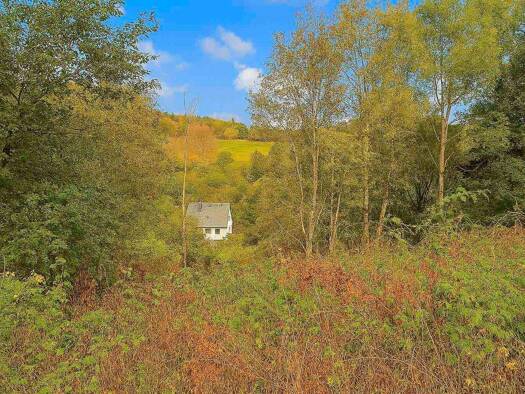 Grundstück zum Kauf 55.000 € 639,1 m² Grundstück Silbach Winterberg 59955