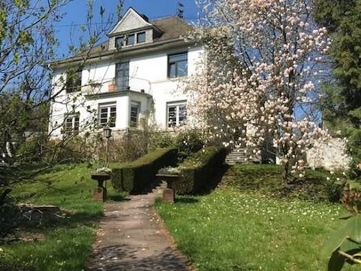 Wohnung zur Miete 1.050 € 4 Zimmer 100 m² Geschoss -1/3 frei ab 01.11.2026 Parkstraße 12 Ransbach-Baumbach 56235