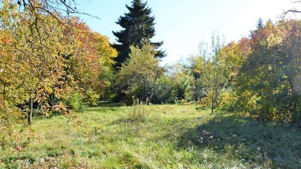 Haus zum Kauf 599.000 € 233 m² 4.000 m² Grundstück Enzesfeld-Lindabrunn 2544