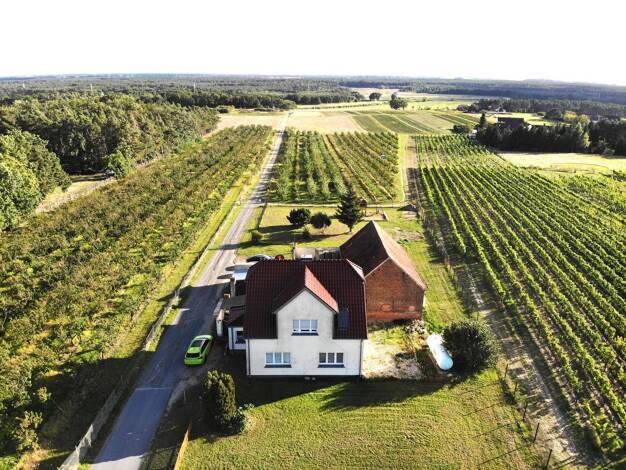 Einfamilienhaus zum Kauf 398.000 € 5 Zimmer 129 m² 2.283 m² Grundstück Jessen Jessen (Elster) 06917