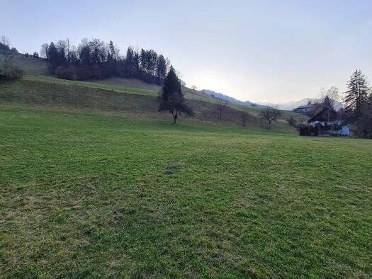 Grundstück zum Kauf 149.000 € 1.192 m² Grundstück Großraming 4463