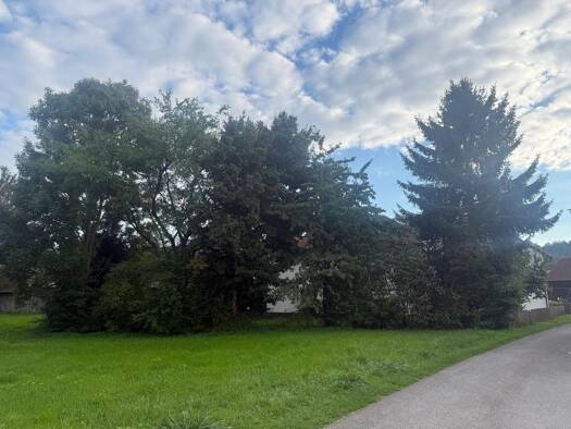 Grundstück zum Kauf provisionsfrei 160.000 € 1.100 m² Grundstück frei ab sofort Weidenwang Berching 92334