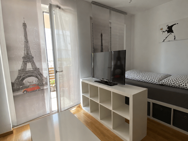 Wohnung zur Miete 537 € 1 Zimmer 31,3 m² Weisenau Mainz 55130