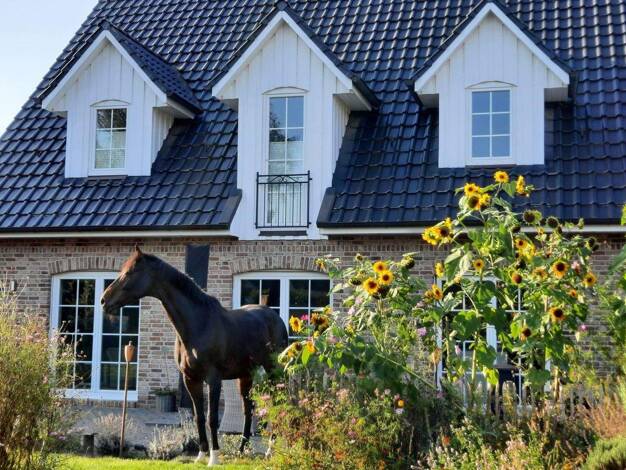 Einfamilienhaus zum Kauf provisionsfrei 785.000 € 5 Zimmer 174 m² 761 m² Grundstück Neu Wulmstorf 21629