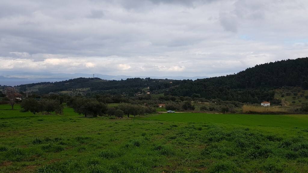 Land-/Forstwirtschaft zum Kauf 150.000 € 5.000 m² Grundstück Chalkidiki