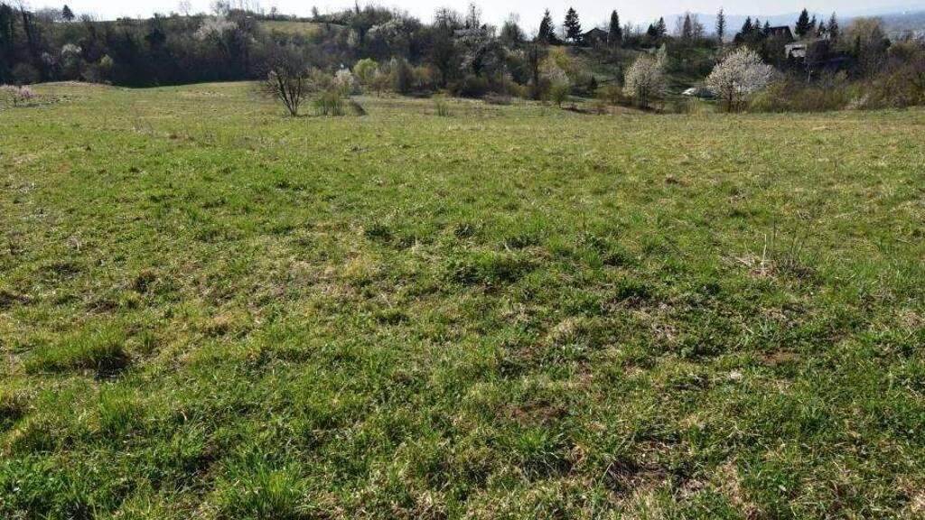 Land-/Forstwirtschaft zum Kauf 90.000 € Nova Ves - Gupceva zvijezda