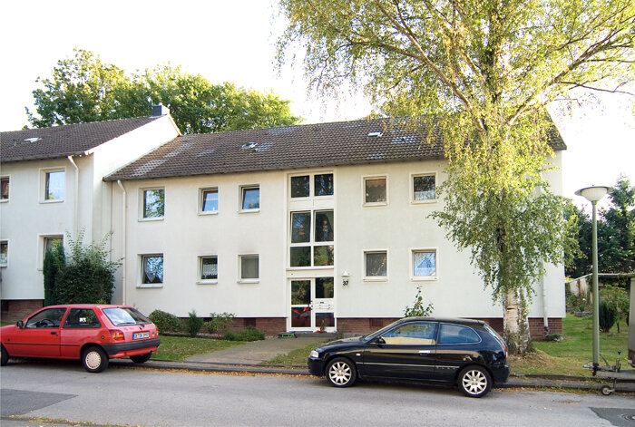 Wohnung zur Miete 449 € 3 Zimmer 59,6 m²<br/>Wohnfläche 1.<br/>Geschoss Wegenerstraße 37 Ückendorf Gelsenkirchen 45886