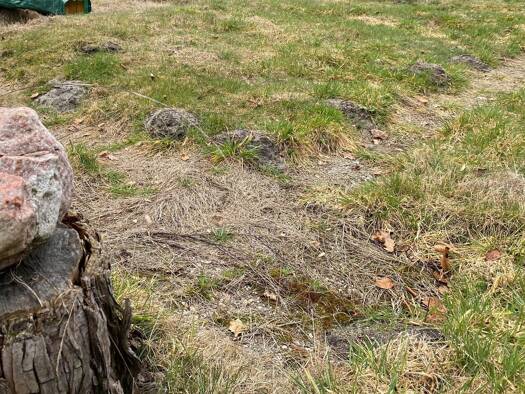 Grundstück zum Kauf provisionsfrei 85.568 € 764 m² Grundstück Fintel 27389