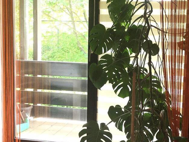 Wohnung zum Kauf provisionsfrei 219.000 € 2 Zimmer 61,7 m² 1. Geschoss Ingolstadt 85049