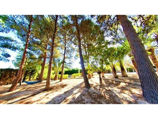 Villa zum Kauf 899.000 € 10 Zimmer 18.989 m² >Carrer Peña del Sol > Elda 03600