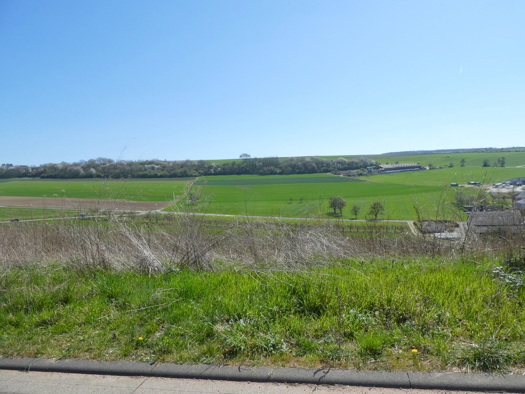 Grundstück zum Kauf 345.000 € 1.292 m² Grundstück Wincheringen 54457