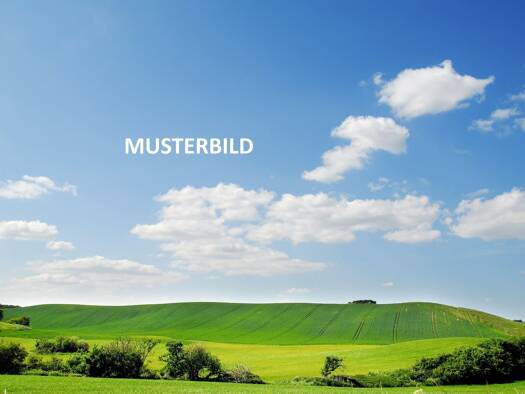 Land-/Forstwirtschaft zum Kauf 16.583 m² Grundstück Oberfinningen Finningen 89435