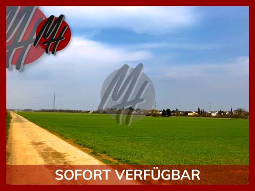 Gewerbegrundstück zum Kauf 45.000 m² Grundstück Schotten 63679