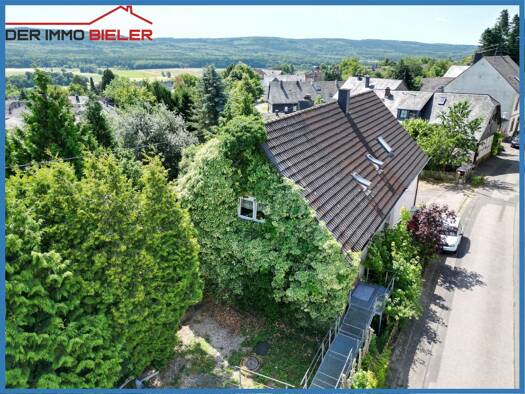 Einfamilienhaus zum Kauf 199.000 € 7 Zimmer 255 m² 1.160 m² Grundstück Riesweiler 55499