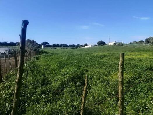 Acker-/Waldstück zum Kauf 150.000 € Vejer de la Frontera 11150