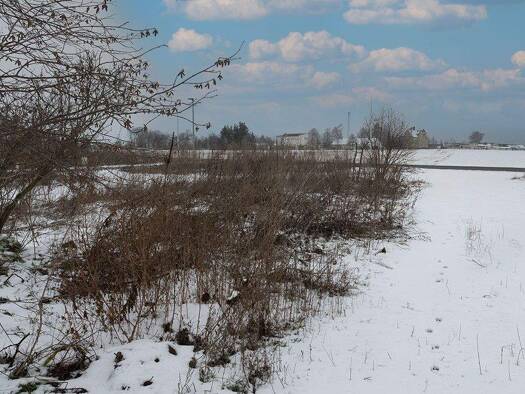 Grundstück zum Kauf 34.000 € 569 m² Grundstück Dahlen 04774