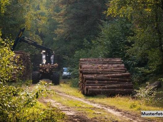 Land-/Forstwirtschaft zum Kauf 97.000 € 171 m² Grundstück Engerwitzdorf 4209