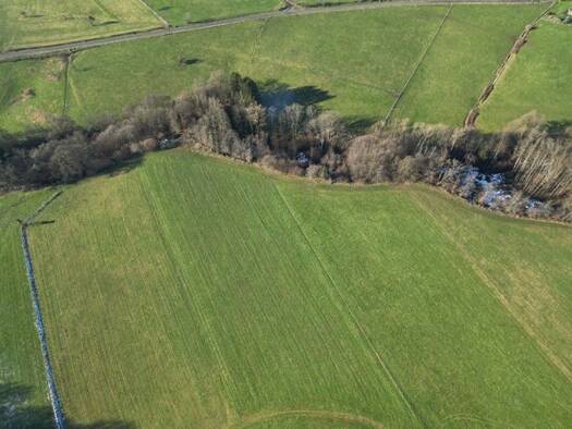 Land-/Forstwirtschaft zum Kauf 34.500 € 11.440 m² 11.440 m² Grundstück Rose Ruppichteroth 53809