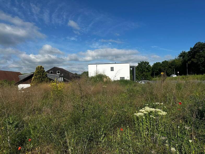 Grundstück zum Kauf provisionsfrei 199.000 € 353 m² Grundstück Usingen Usingen 61250