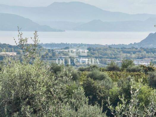 Grundstück zum Kauf 1.780.000 € 1.650 m² Grundstück Strada del Tonol 1 Lazise 37017