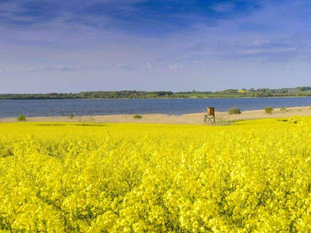 Grundstück zum Kauf provisionsfrei 450.000 € 7.000 m² Grundstück Kaltenhof Dassow 23942