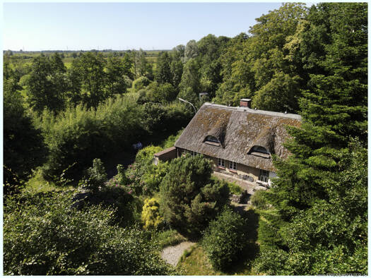 Einfamilienhaus zum Kauf 385.000 € 4 Zimmer 76 m² 2.997 m² Grundstück Ramstedt 25876