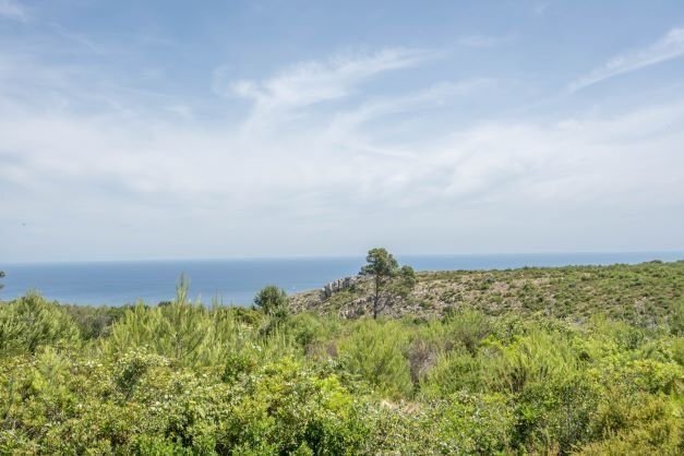 Grundstück zum Kauf 599.000 € 6.000 m²<br/>Grundstück Javea