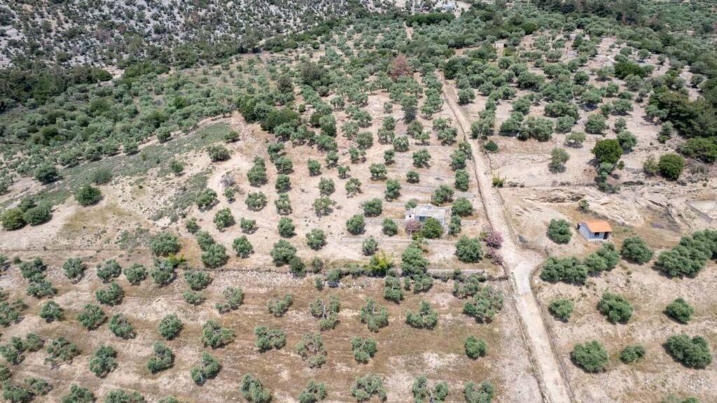 Grundstück zum Kauf 250.000 € 5.230 m² Grundstück Astrida, Thassos