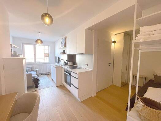 Studio zur Miete 750 € 1 Zimmer 24 m² 1. Geschoss frei ab sofort Schnieglinger Straße 57 St Johannis Nürnberg 90419