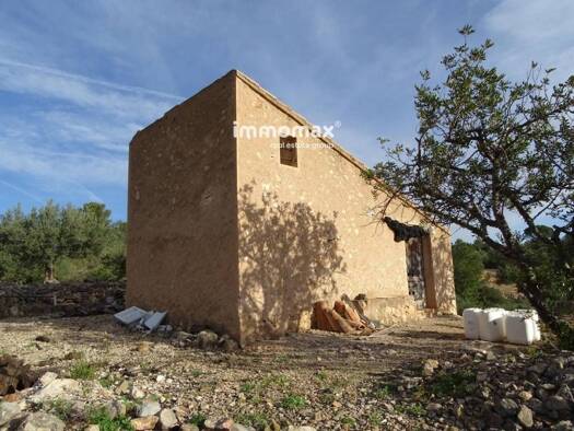 Acker-/Waldstück zum Kauf 48.000 € Xerta 43592
