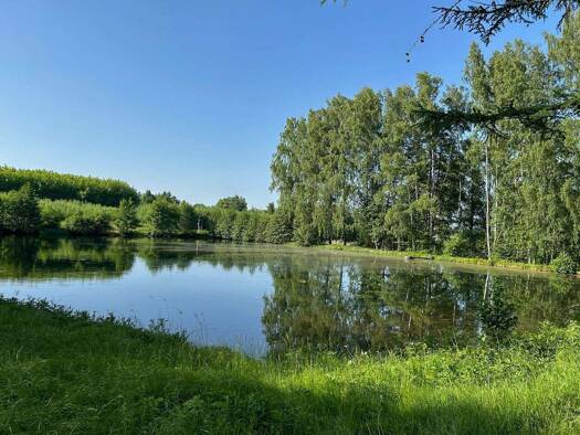 Land-/Forstwirtschaft zum Kauf 60.000 € 9.802 m² Grundstück Bad Alexandersbad 95680