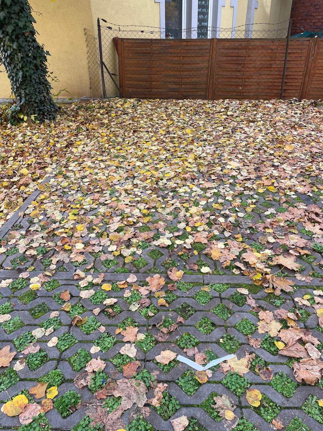Außenstellplatz zur Miete - Widok 2