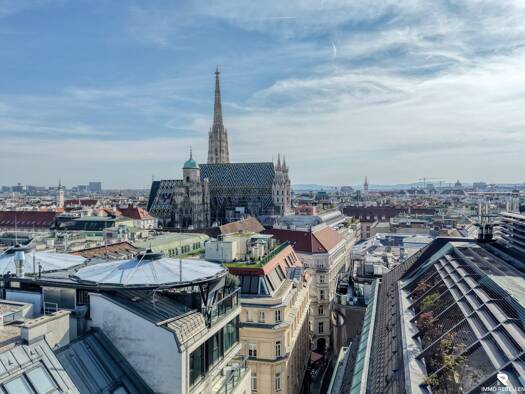 Penthouse zum Kauf 9.770.000 € 7 Zimmer 390,2 m² Innere Stadt 1010