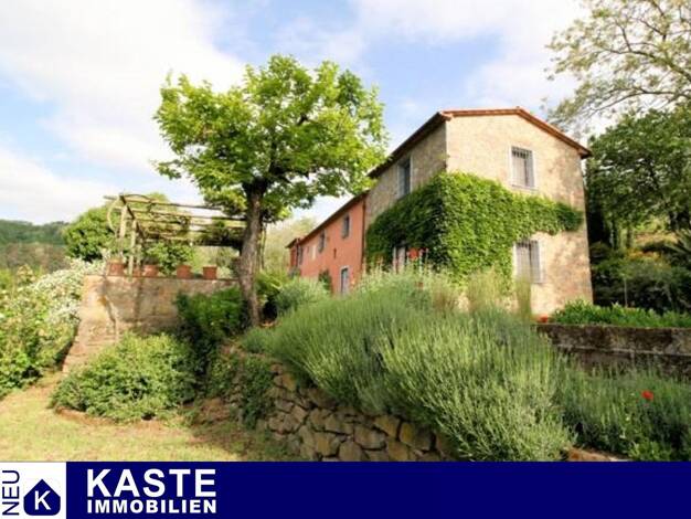 Haus zum Kauf 690.000 € 7 Zimmer 300 m² 35.000 m² Grundstück Colle di Buggiano 51011