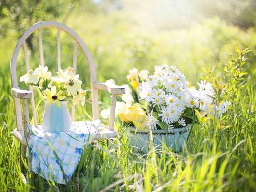 Wohnung zur Miete 1.150 € 3 Zimmer 70,6 m² EG Simon-Bolivar-Straße 6 Alt-Hohenschönhausen Berlin 13055