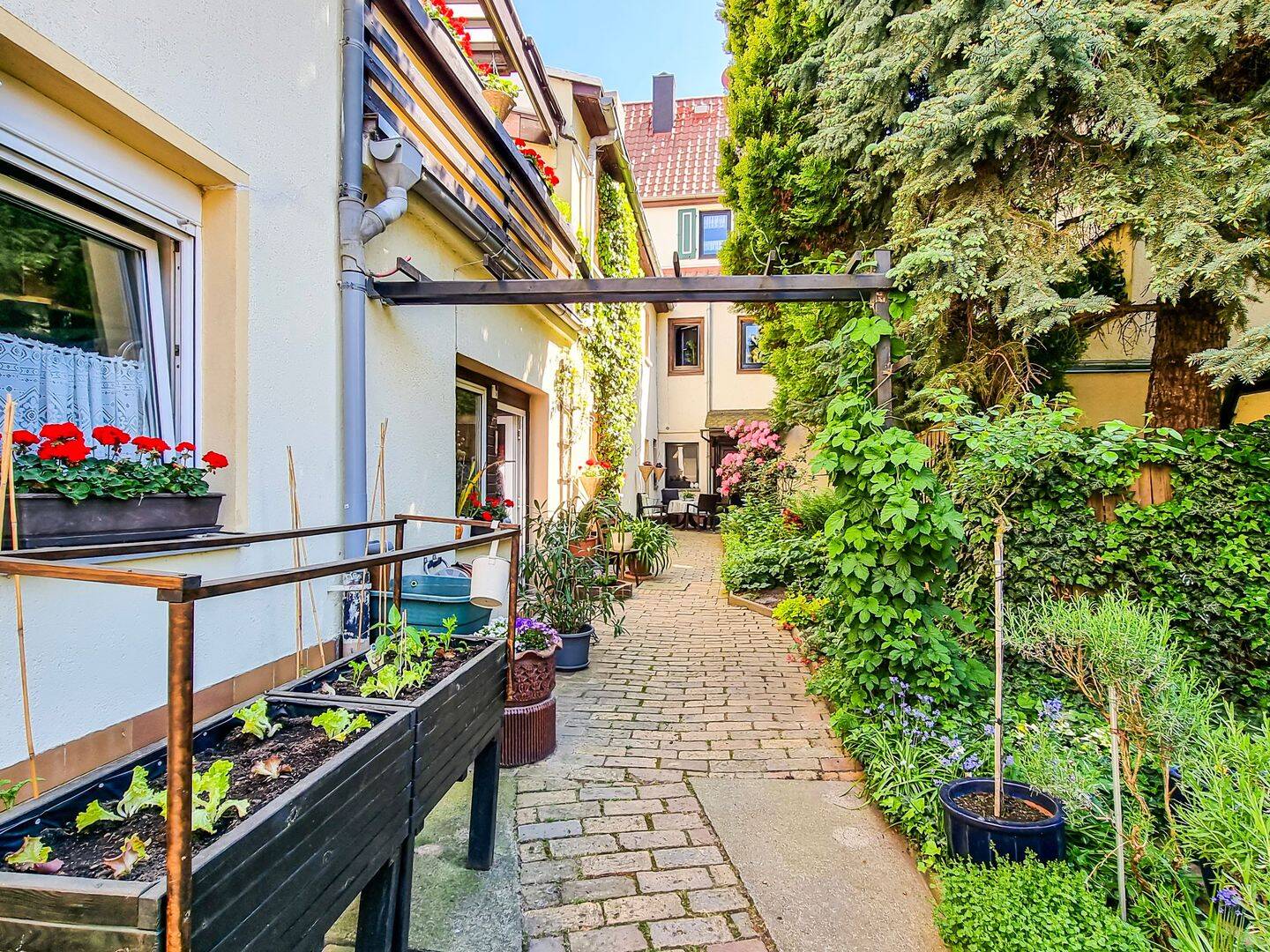 Einfamilienhaus zum Kauf - Mehr