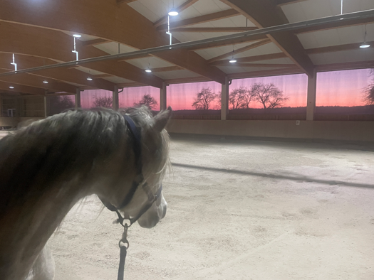 Bauernhof zum Kauf 1.950.000 € 75.000 m² 5.800 m² Grundstück Dettenheim Weißenburg i. Bay. 91781