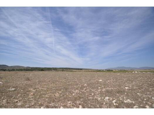 Acker-/Waldstück zum Kauf 35.995 € Pinós 03650