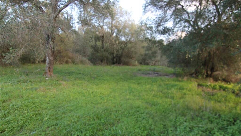 Land-/Forstwirtschaft zum Kauf 110.000 € 2.500 m² Grundstück Korfu