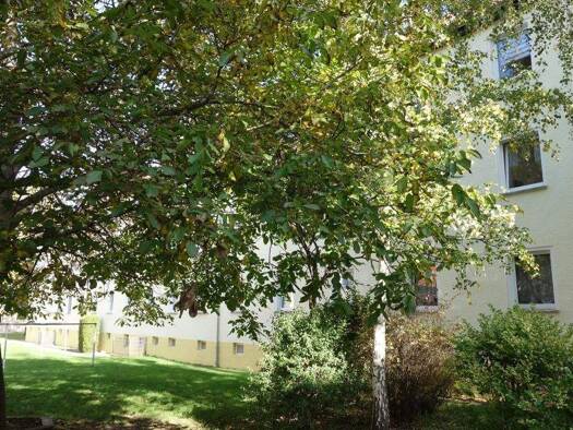 Wohnung zur Miete 550 € 4 Zimmer 72 m² 2. Geschoss Halberstädter Straße 49 Aschersleben 06449